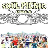 Soul Picnic Mix 2014 - Dom Mandrell