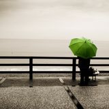 Keven Yard-Rainy Days