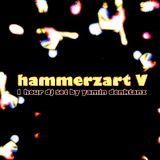 hammerzart V - djset by yamin denktanz