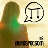 #6 - Instrospecsom