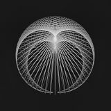Cardioid