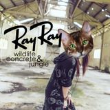 WILDLIFE & CONCRETE JUNGLE