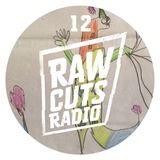 EPISODE 12: MIAMI ICE