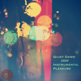 Instrumental Pleasure