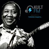 The Story Of Jazz #17 - Muddy Waters