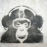 Khazmeer presents The Crazy Monkey Project 6.