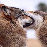 Ways of Love