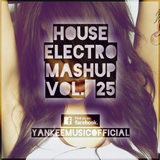 Yankee's House & Electro MashUp #25 (2013)