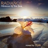 RADIANCE: Hibiscus by the Sea