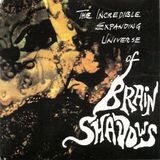 BrainShadow