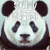 Sound Safari Mini Mix #2