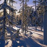 Soft Light