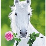 Bonehorse Valentines Special