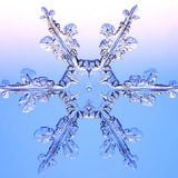 Solsticio de Invierno Mix
