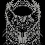 Night Owl Radio 014 With Paul Van Dyk Guest Mix