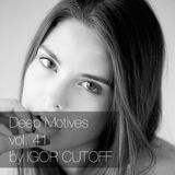 Deep Motives vol. 41