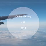 Collective Joy#17 2014