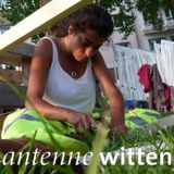 72 Hour Interactions - Witten Truffel Pigs
