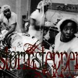 Stormstepper - Deep Dubstep April selections