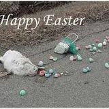 supernova DJ easter 2015 uk hardcore mix