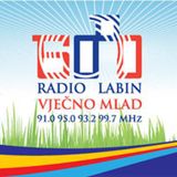 Tematska sjednica o TE Plomin - Labin