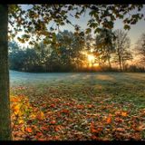 Good Mornin' World