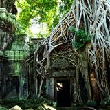 Back to the Jungle - DnB Oldies Mix