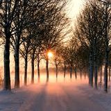 December Days Podcast