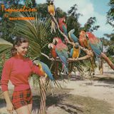 Tropicalism ( the summer mix 2014)