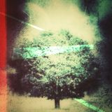 cosmic tree 2 @ plutonium klub ... salex