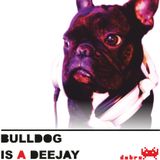 Bulldog Is A DeeJay