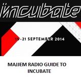 Majjem Radio Guido To The Incubate Festival 2014 (Part 3: Friday)