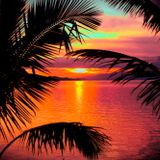 Summer Promotional Mix