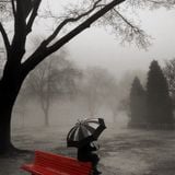 Rainy day