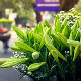 Tản mạn tháng Tư_Gấu Béo