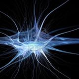 synapsis
