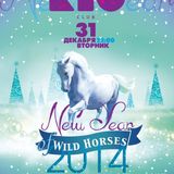NEW YEAR MIX 2014 @ DJ ROMANTIC, RIO CLUB (Dnepropetrovsk)