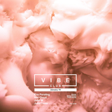 Live @ VIBE Club, Brno 1/01/16