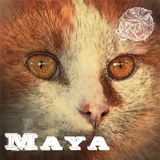 2 Years of Buga Sound by Mario Rockets
