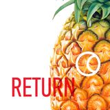 Cosmo Cat - Return