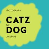 Catz of dog