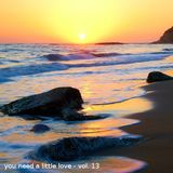 You need a little love - Vol. 13