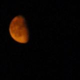 Rude Reggae Surprise similar artists - Red Moon Upbeat mixtape