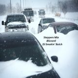 Steppers Mix- Blizzard
