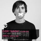 Deep Vibes - Guest Andu - 18.05.2014