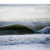 The Ocean