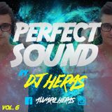 Perfect Sound by Dj Heras vol.6
