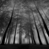 Nightmare ShortShort Mix (Opt.2)