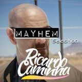 MAYHEM Selection 10 (Breaking Bad)