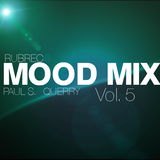 Paul S. & Querry - The Mood Mix. Vol. 5
